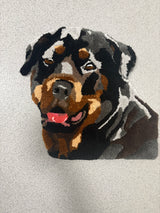 Tufted Pet Rug