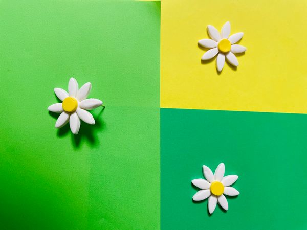 Daisy Stud Earrings